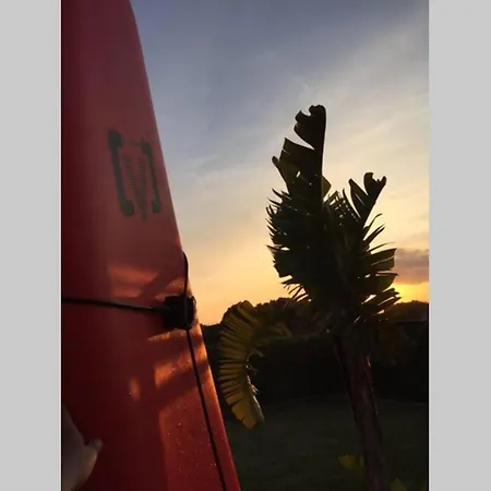 Peace And Freedom In A Natural Environment - Eco Casa de Férias *